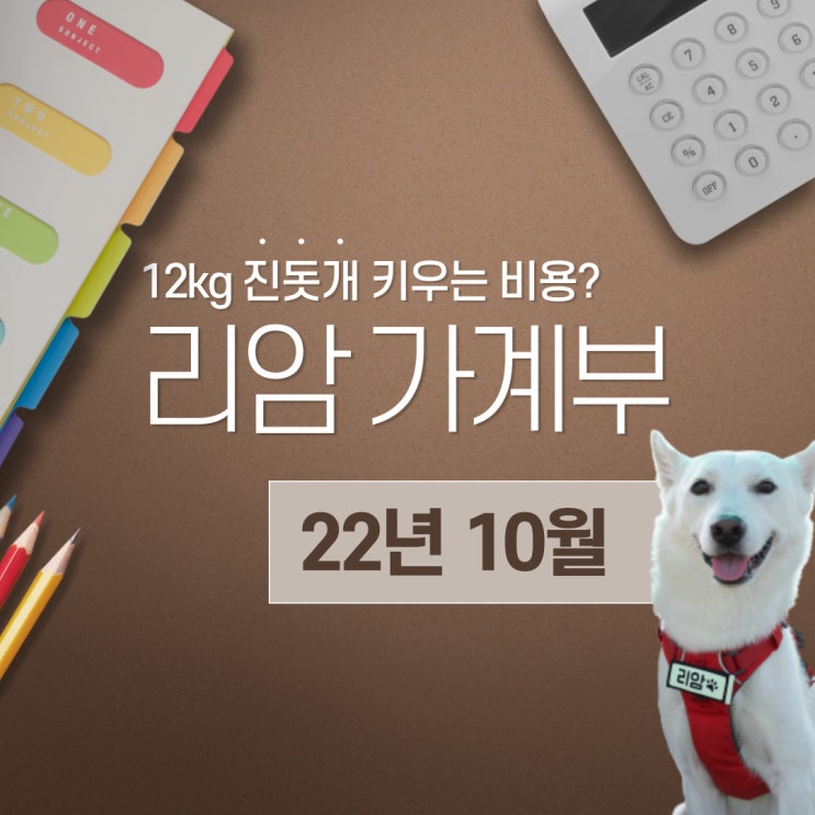 12kg 강아지 키우는 비용 공개 - 10월 가계부