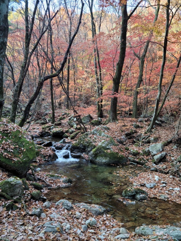  221030 원주 치악산 비로봉코스(사다리병창길)