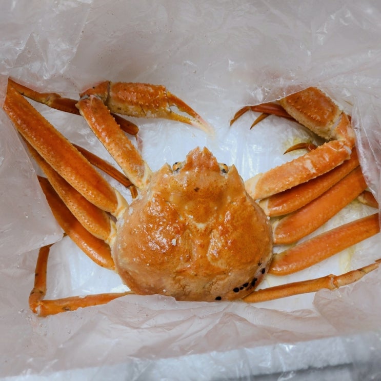  [노량진대게] 해산물 갑각류전문《황금수산》대게찜 포장 후기