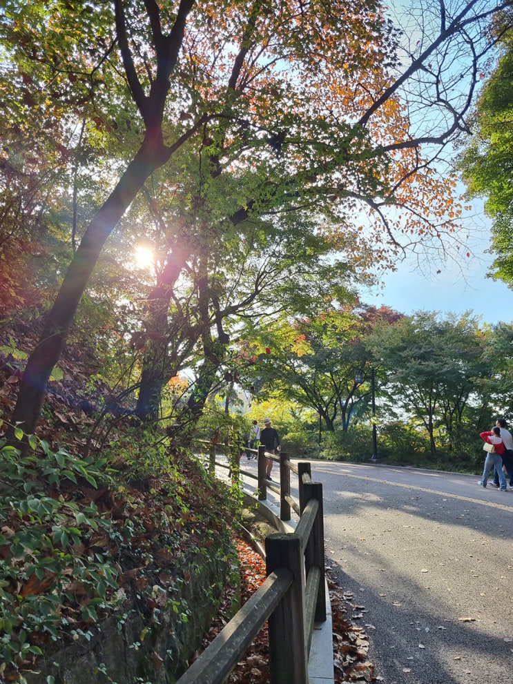  남산예장공원에서 남산둘레길까지 산책