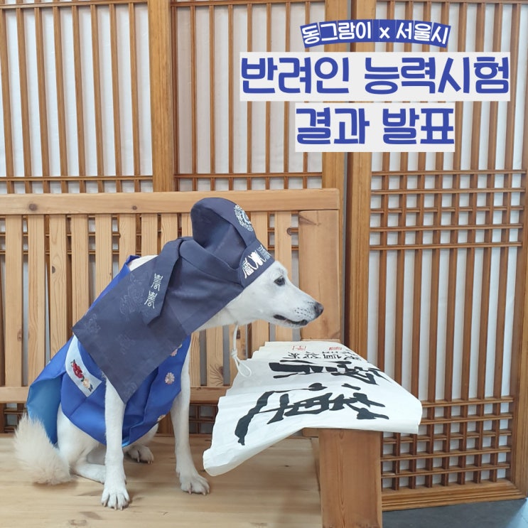 반려인 능력 시험 첫 응시 결과 (feat. 동그람이) 반려인 능력 시험 첫 응시 결과 (feat. 동그람이)