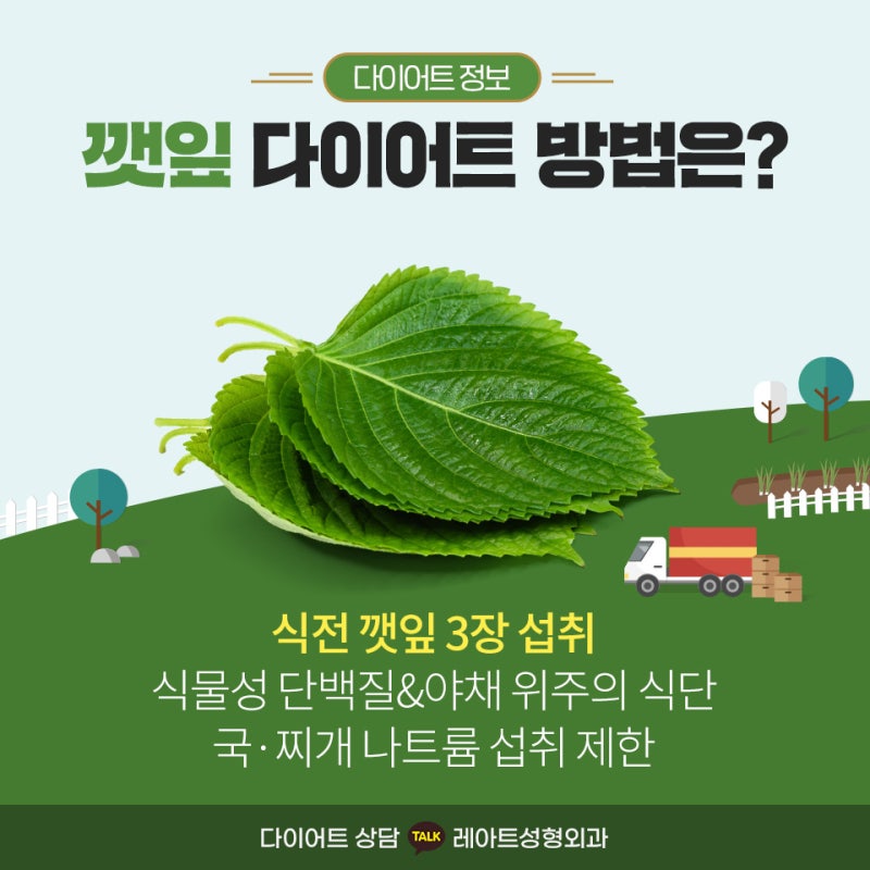 깻잎 다이어트 효능 및 칼로리 영양