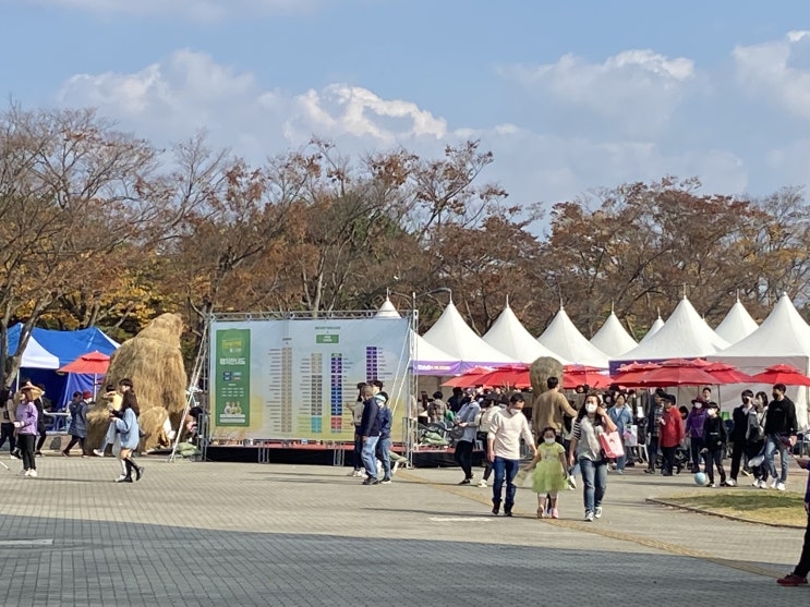  독립기념관 단풍축제 후기!