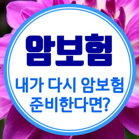  내가 만약 30대 암보험 가입을 다시 준비한다면?