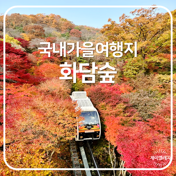 [국내가을여행지] 경기도 광주 단풍명소, 화담숲 예약방법, 모노레일 후기