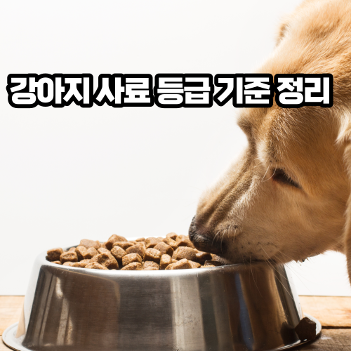 강아지 사료 6가지 등급 한번에 알자!(로가닉 오가닉 홀리스틱 슈퍼프리미엄 프리미엄 일반사료) 강아지 사료 6가지 등급 한번에 알자!(로가닉 오가닉 홀리스틱 슈퍼프리미엄 프리미엄 일반사료)