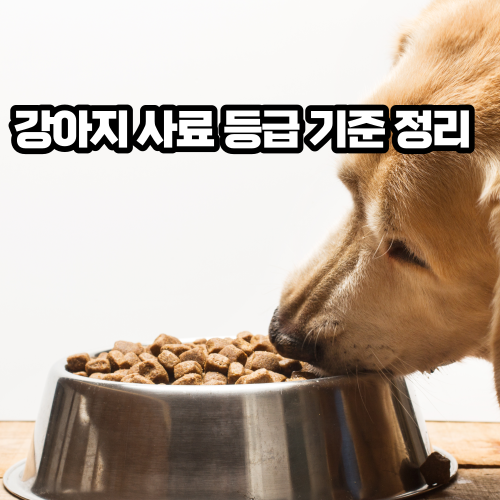 강아지 사료 6가지 등급 한번에 알자!(로가닉 오가닉 홀리스틱 슈퍼프리미엄 프리미엄 일반사료)