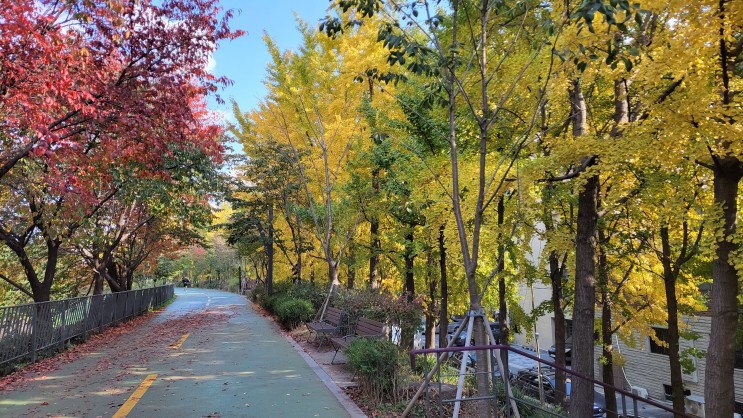 [서울 성동] 가을을 즐기다 - 송정 둑방길