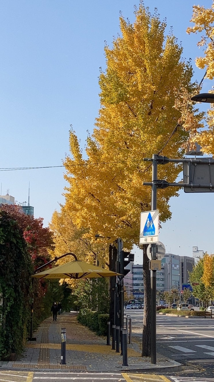  11월첫날