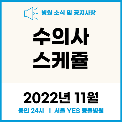  연중무휴 24시 서울YES동물병원 _ 11월 수의사스케줄( 용인 분당 수원 동물병원)