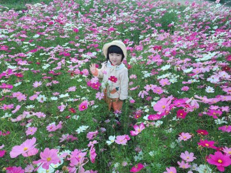  창원 주남저수지 람사르문화관