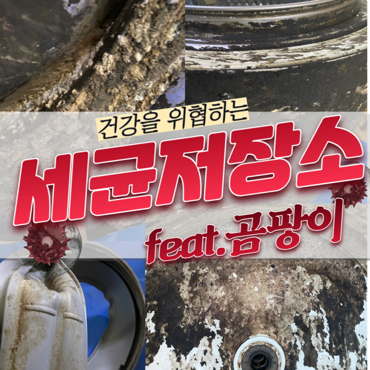  울산세탁조청소 진짜 변기보다 더러웠어요!!