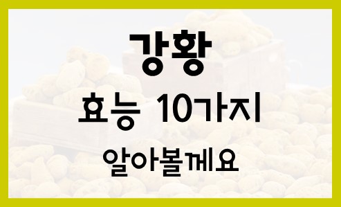  강황의효능 10가지 알아보기