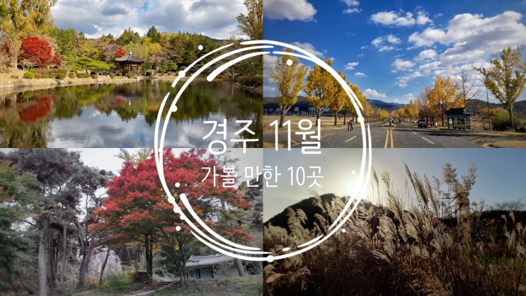  경주 11월에 가볼 만한 10곳