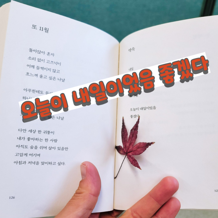  나태주 시인의 약속, 이 가을 사랑하는 사람과의 설레임을 추억하게 해주는 시 한편 소개