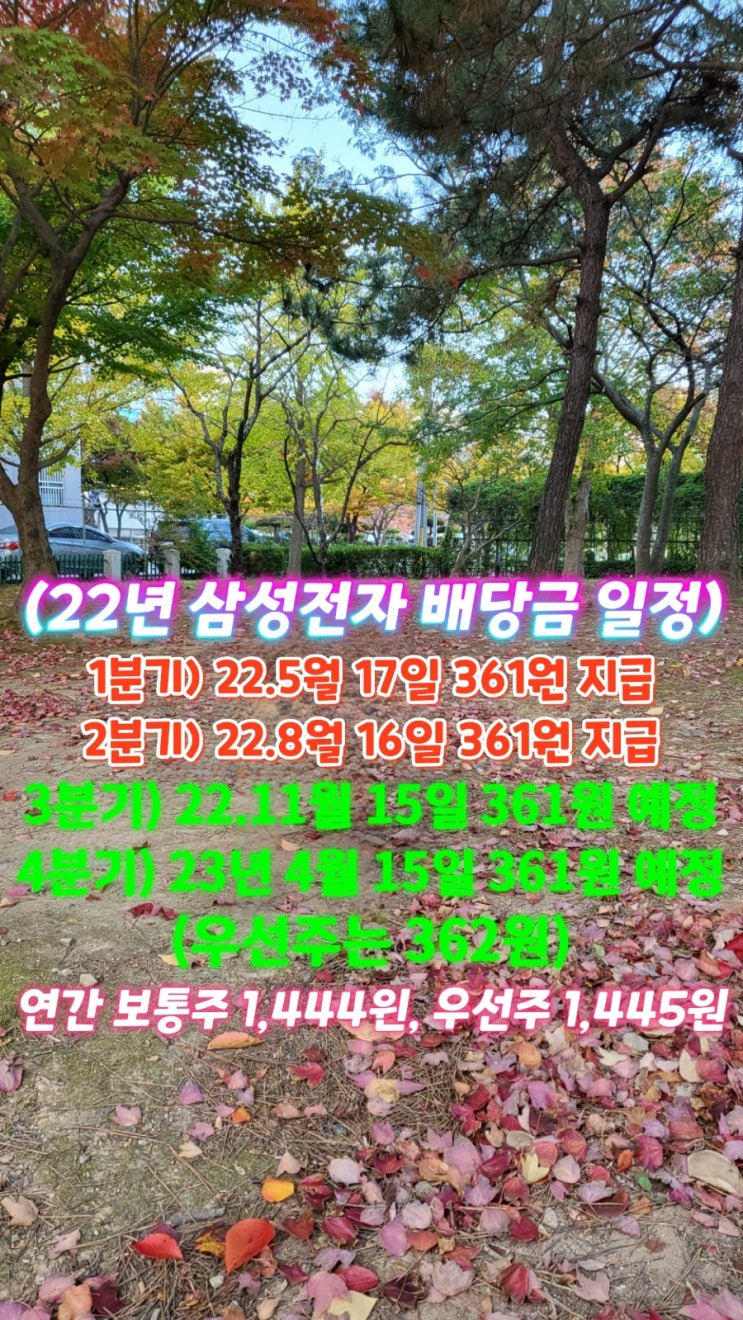 2022년 삼성전자 3분기 배당금 지급일 2022년 삼성전자 3분기 배당금 지급일