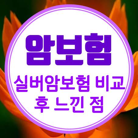  내가 직접 어머니의 실버암보험 알아봤을 때의 썰을 풀어본다.