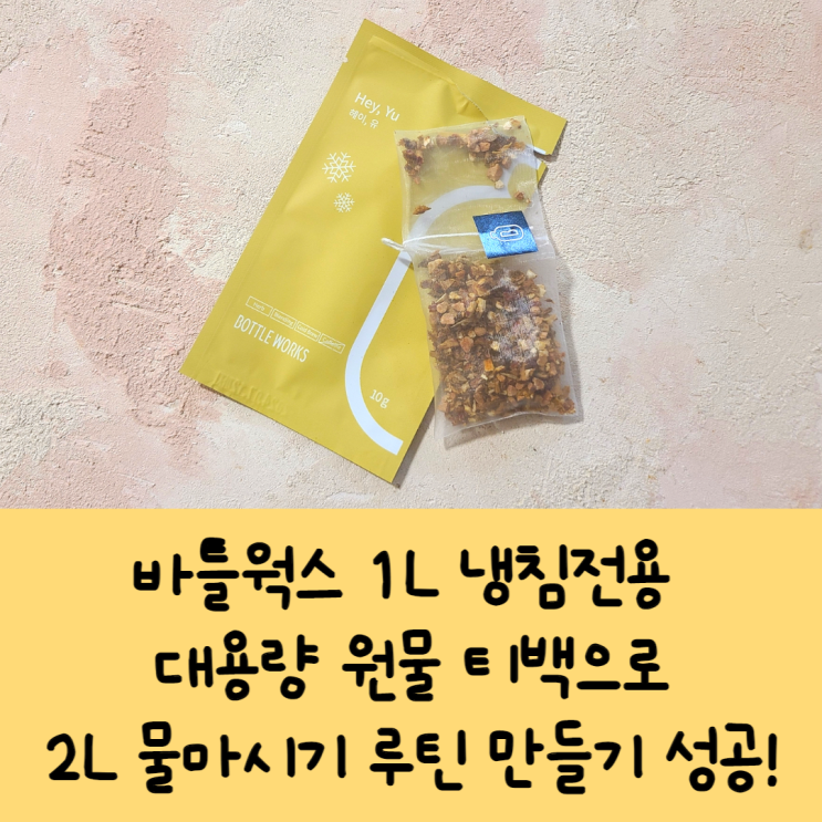  바틀웍스 1L 냉침전용 대용량 원물 티백으로2L 물마시기 루틴 만들기 성공!