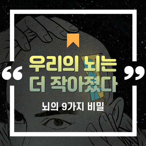  "뇌가 점점 더 작아지고 있다고?" 뇌의 9가지 비밀