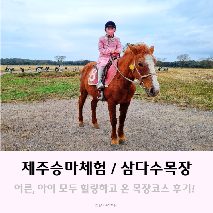 제주 어린이승마체험 : 아이와 삼다수목장에서 말과 교감 힐링후기 제주 어린이승마체험 : 아이와 삼다수목장에서 말과 교감 힐링후기