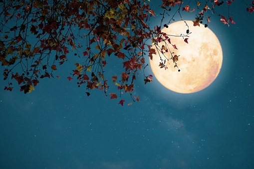  [블챌] 반드시 들어야 할 재즈 100 /6. Autumn Nocturne 가사해석 -가을에 어울리는 재즈