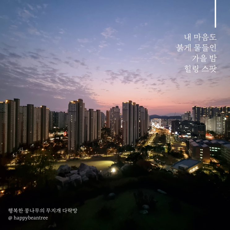  남양주 야경 맛집 다산중앙공원 산책하며 하루 마무리하기