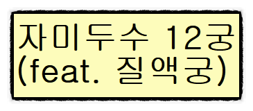 자미두수 12궁 각 궁의 해석과 의미 (#9) -질액궁-편 자미두수 12궁 각 궁의 해석과 의미 (#9) -질액궁-편