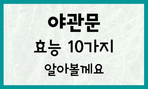  야관문의효능 10가지 알아볼께요