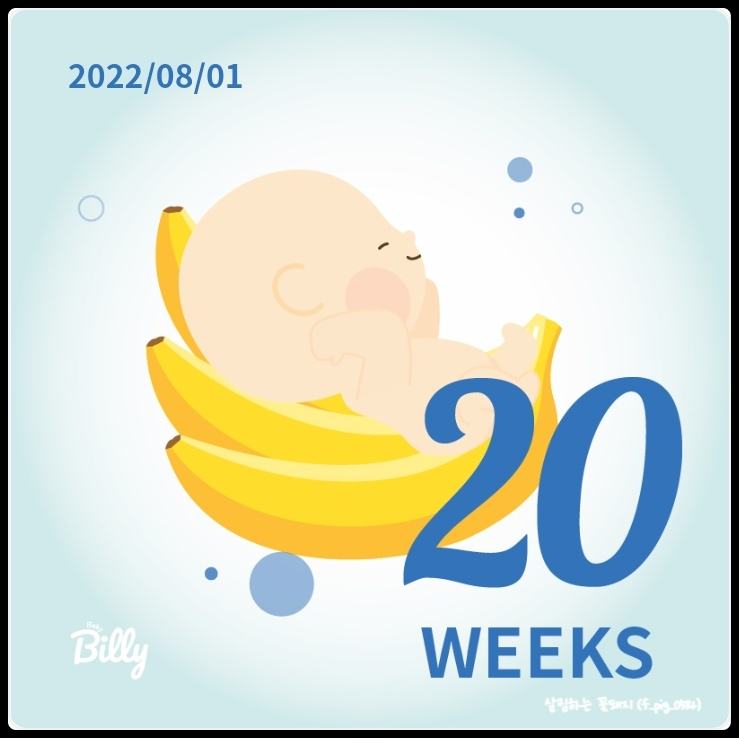  임신기록_ 임신 20주차 (체중증가, 손발붓기, 주수사진기록, 안정기)