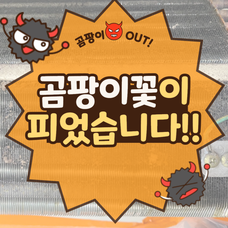  에어컨 교체가 아닌 분해청소로도 해결할 수 있습니다.