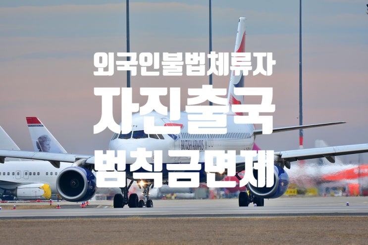 외국인불법체류자 국제결혼 자진출국 및 입국규제 유예(태국_베트남_필리핀_카자흐스탄_러시아_우즈베키스탄_중국 등)