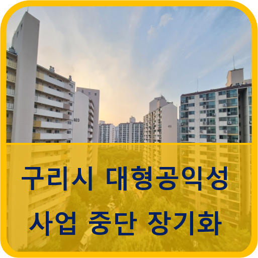  구리시 대형 공익성사업 중단