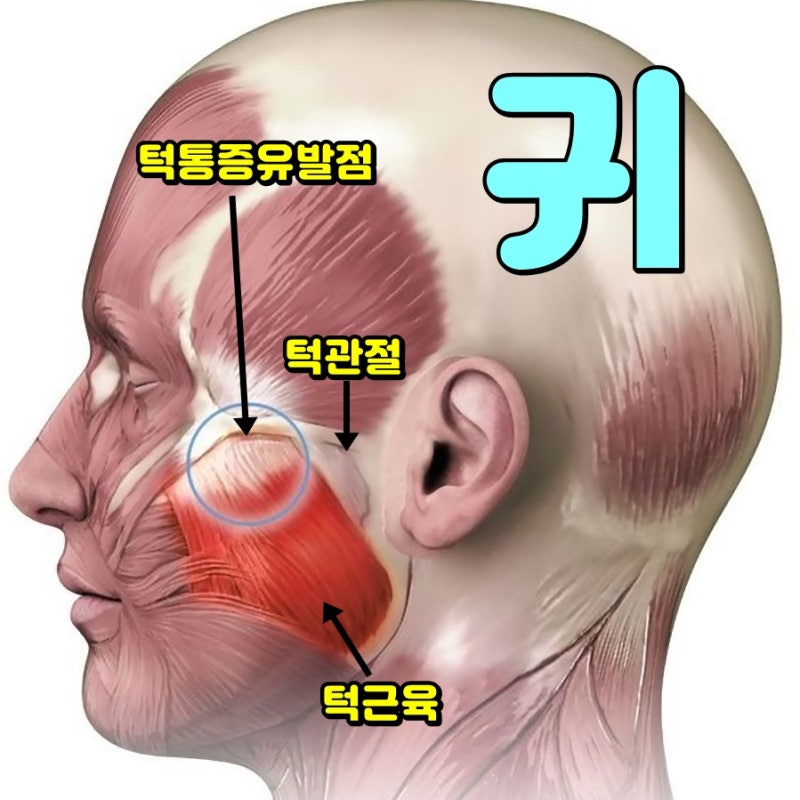 왼쪽 귀 통증의 원인과 증상, 치료법 7가지를 알아봅시다.