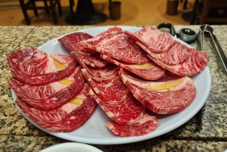  [남영] 초원 (22.05) 