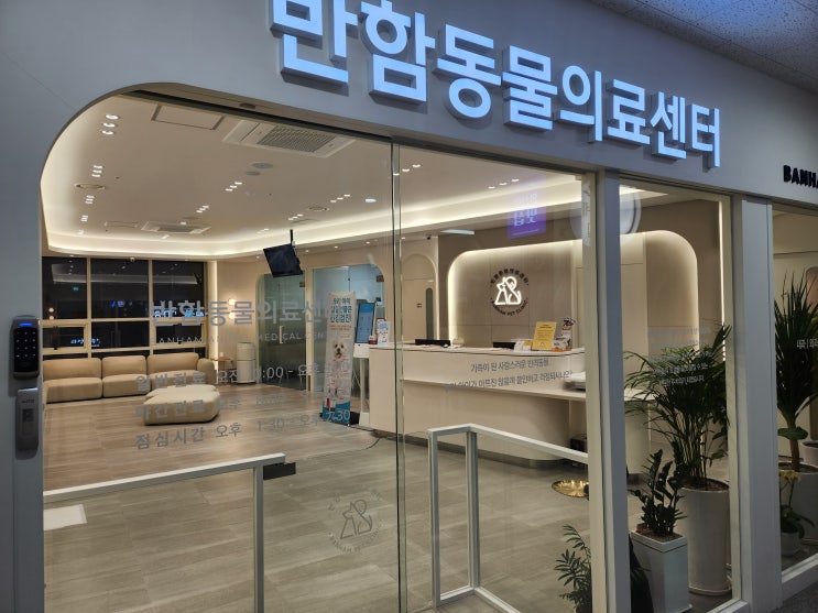  안산 원곡동 반함동물병원 고양이 건강검진 및 진료 후기