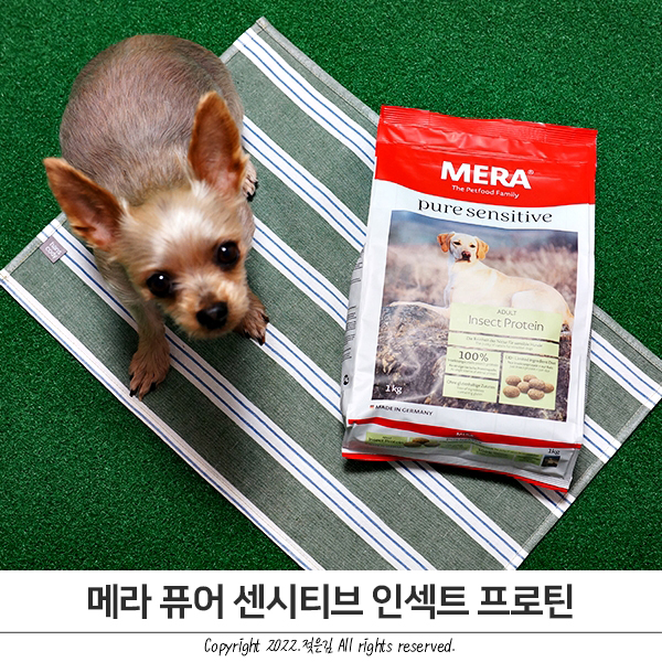 기호성좋은사료 메라사료 동애등에 인섹트사료 추천 기호성좋은사료 메라사료 동애등에 인섹트사료 추천
