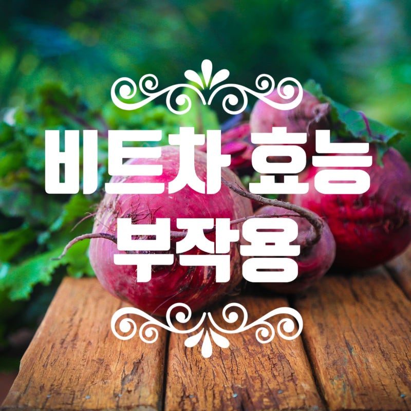 비트차 효능과 부작용 : 네이버 블로그