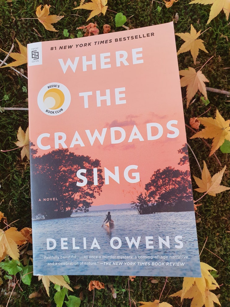  [영어원서 읽기] 47 Where the Crawdads Sing (가재가 노래하는 곳) by Delia Owens 리뷰