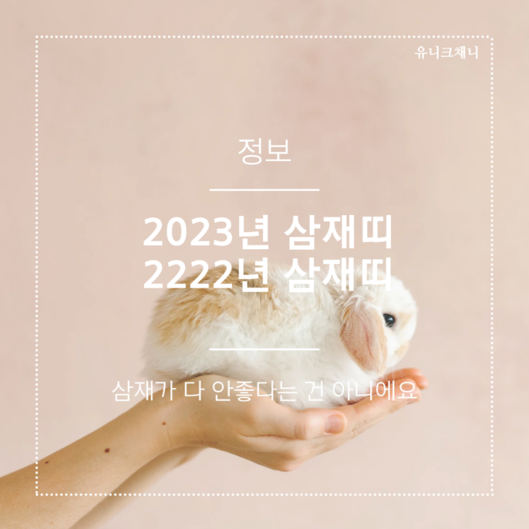  2023년 삼재띠 올해와 비교해서 대비하기