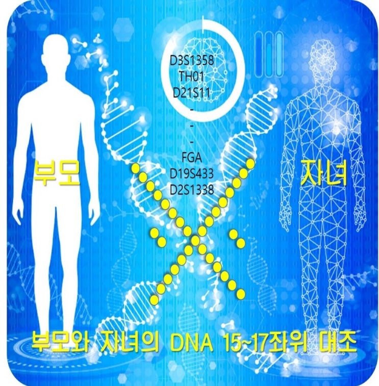  친자확인 유전자검사 판정불가일 경우