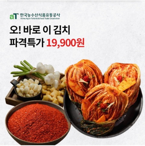  11월 2일 OK캐쉬백 오퀴즈 김치 파격특가 정답