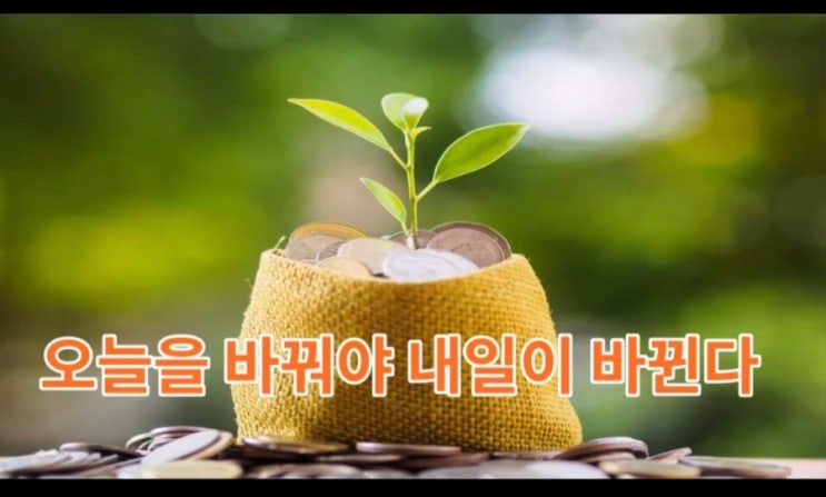 꿈꾸는 서여사님과 함께하는 부자매뉴얼  따라하기-1주차