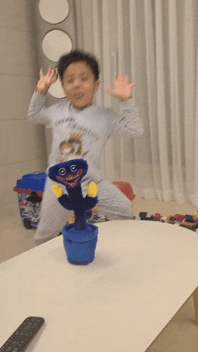  키시미시 말 따라 하는 선인장 인형 앵무새 인형