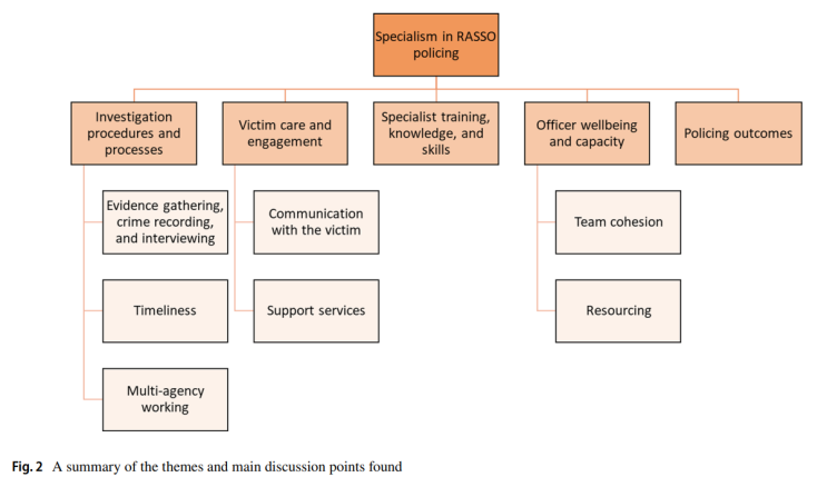  [경찰학] 흉악 성범죄(RASSO) 전문성 정책에 대한 체계적 문헌고찰 / A Systematic Literature Reiview of Specialist Policing
