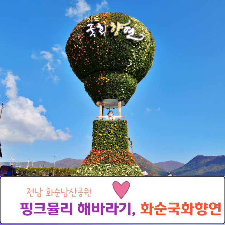  2022 화순 남산공원 국화향연 기간 얼마남지 않았어요