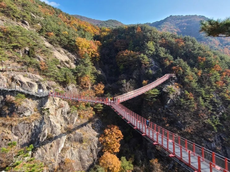  거창 가볼 만한 곳, 우두산 Y자형 출렁다리(거창 항노화 힐링랜드)