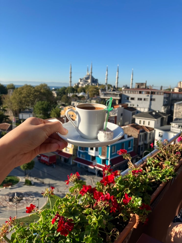 이스탄불 전망 좋은 호텔 :: 아야 소피아 & 블루 모스크 모두 보이는 파노라마 레스토랑