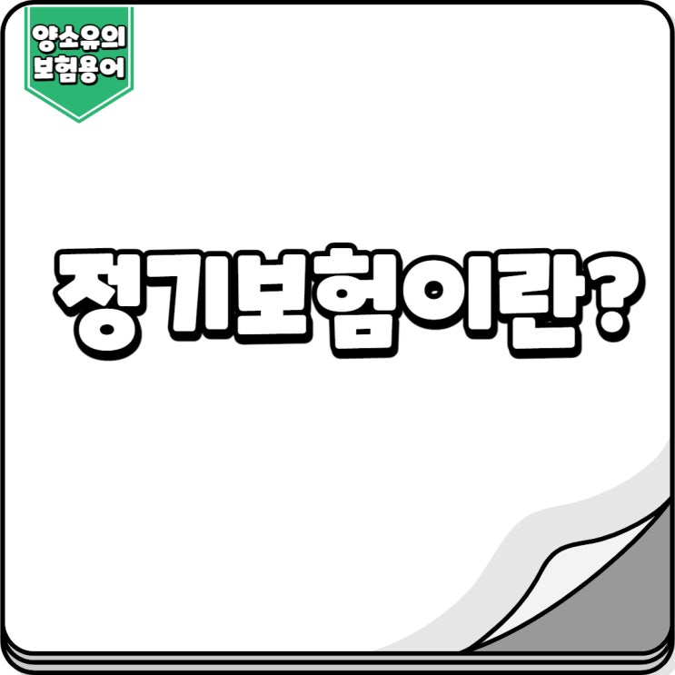  정기보험이란?