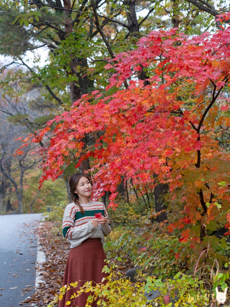 강원도 여행 코스 삼척 죽서루 천은사 단풍 구경