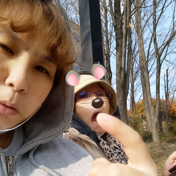 [난소암 4기] 유전자 검사
